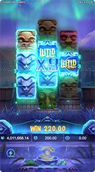 Totem Wonders